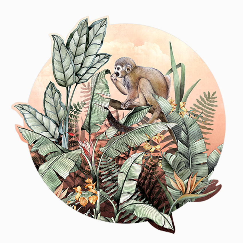 Squirrel Monkey Wall Decal - Avalana Design