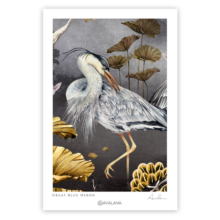 Midnight crouching Heron art print