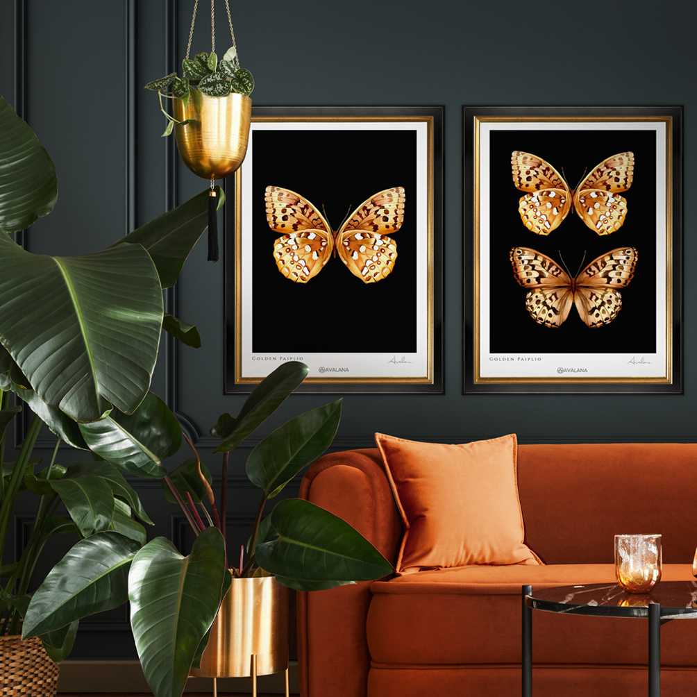art prints