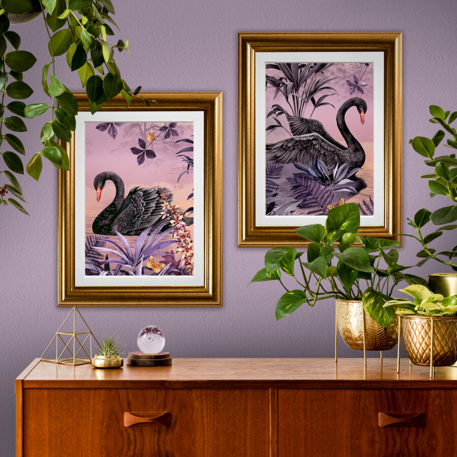 Lilac swan art print collection in hallway