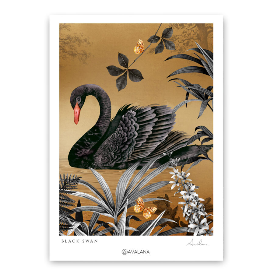 a black swan glides on a golden lake.