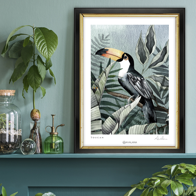Toucan art print in a frame on a shelf