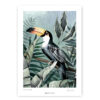 Toucan art print