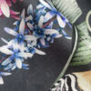 The hoopoe charcoal shimmer velvet on a textured black background with pops of colour