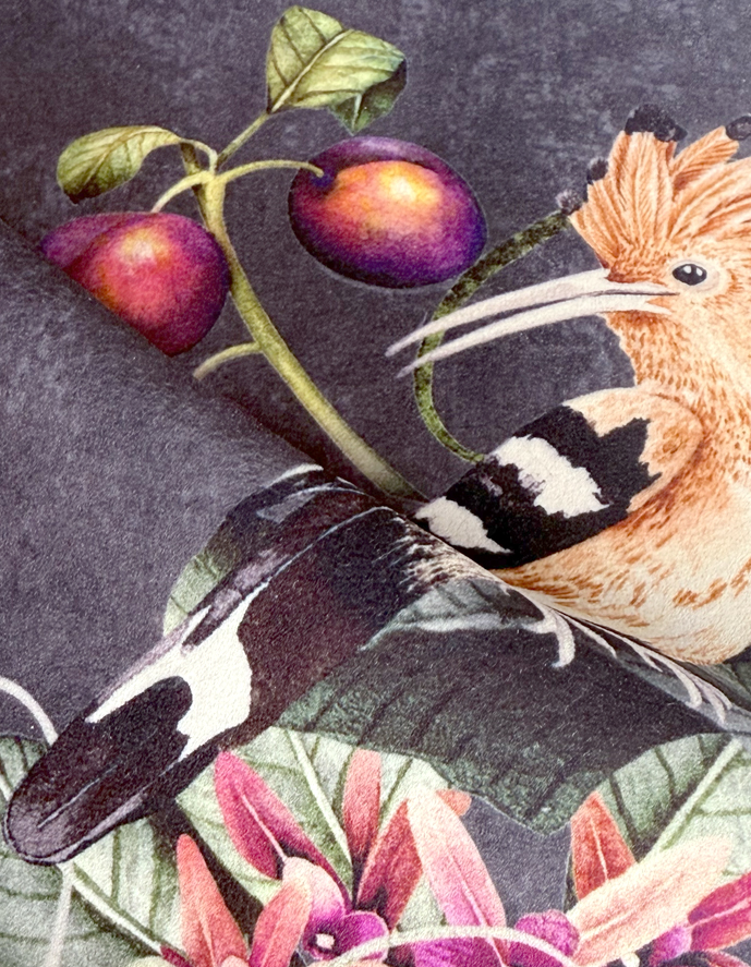 Alternative view of Hoopoe Garden Charcoal Recycled Velvet
